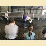 IMG_4505.JPG   142.3K